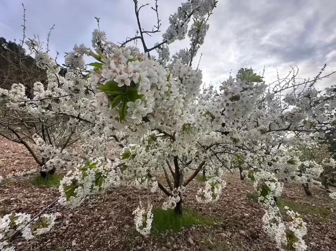 Agriturismo Serra Moneta Санто-Стефано Экстерьер фото