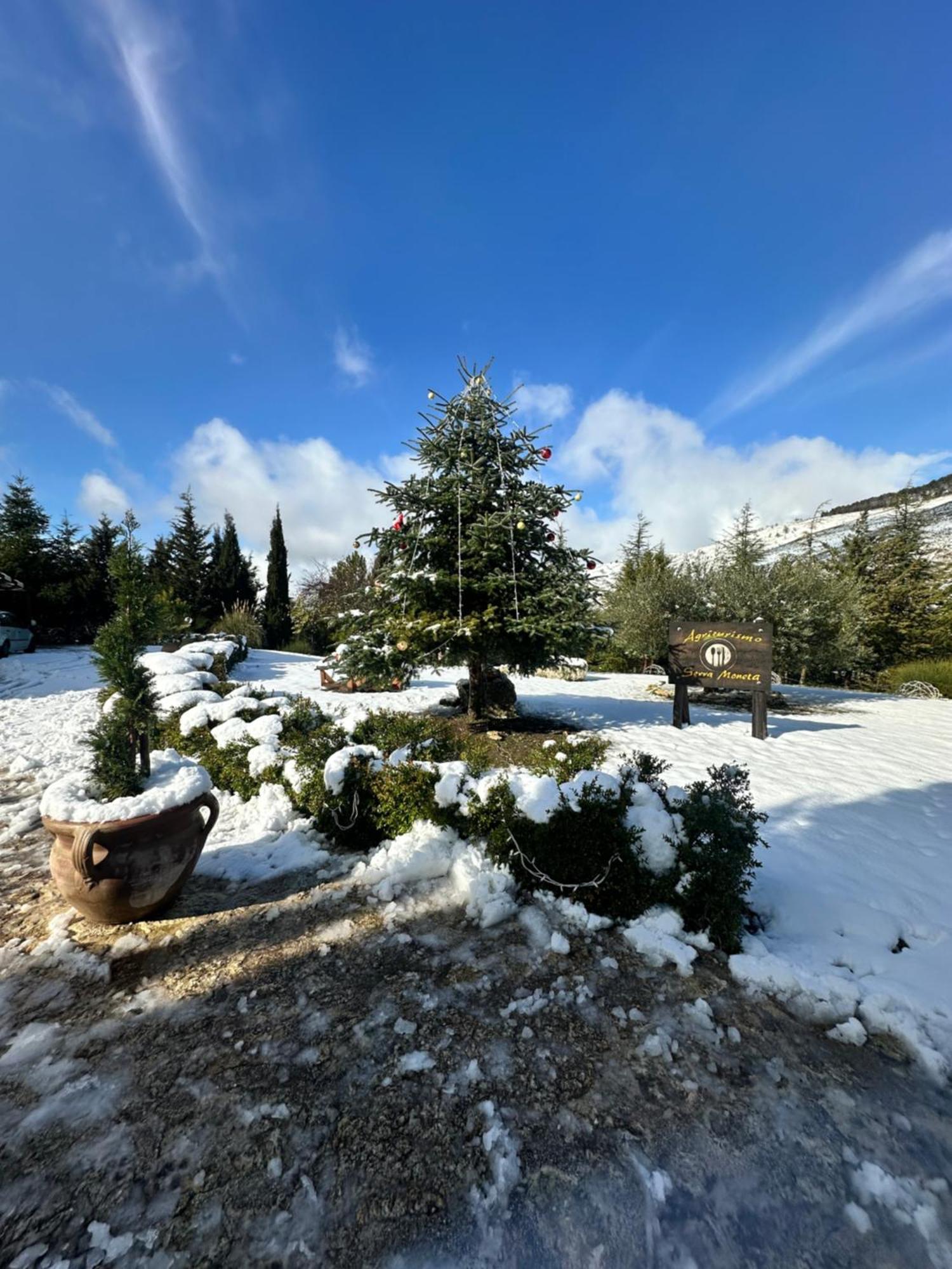 Agriturismo Serra Moneta Санто-Стефано Экстерьер фото